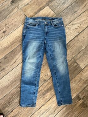 J. Jill Authentic Fit Slim Ankle, Size 8R